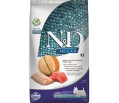 Farmina N&D dog OCEAN (GF) adult mini, salmon, cod & cantaloupe melon 2,5 kg