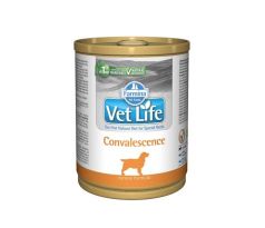 Farmina Vet Life dog convalescence konzerva 300 g