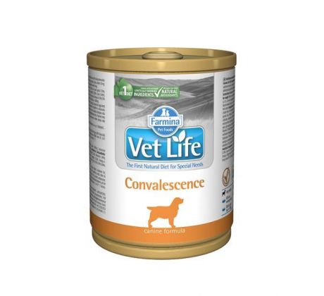 Farmina Vet Life dog convalescence konzerva 300 g